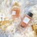 Le langage des parfums : odeurs et signification